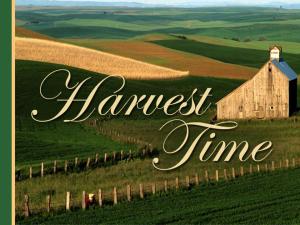 Spiritual Blog - harvest