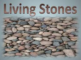 Spiritual Blog - Living Stones