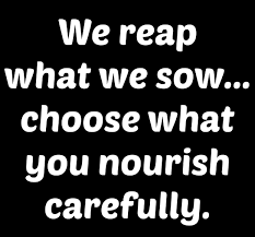 Spiritual Blog - Sowing