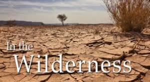 Spiritual Blog - Wilderness