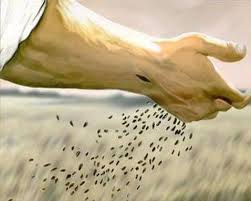 Spiritual Blog - Sowing