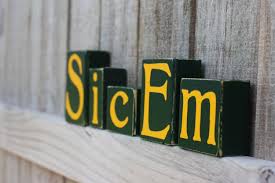 Spiritiual Blog - Sick 'em