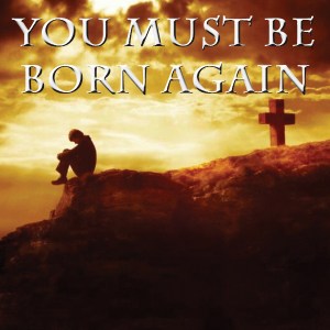 Spiritual Blog - Born Again