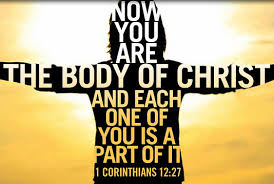 Spirtual Blog - Body Parts