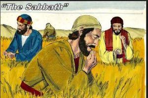 Spiritual Blog - Sabbath