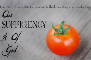 Spiritual Blog - Sufficient