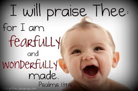Spiritual Blog - Fearfully and Wonderfully