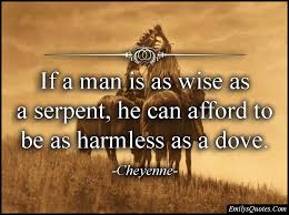 Spiritual Blog - Wise As Serpents