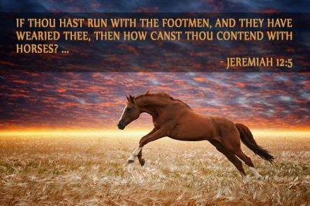 Spiritual Blog - Horses
