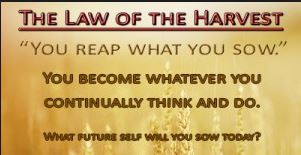 Spiritual Blog - Harvest Law