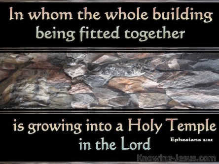Spiritual Blog - Growing Together