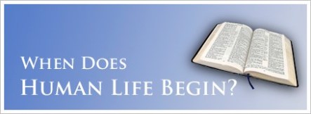 spiritual-blog-life-bible