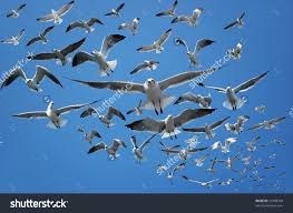 spiritual-blog-crowd