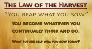 Spiritual Blog - Harvest