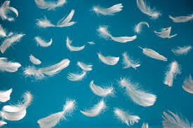 Spiritual Blog - Feathes