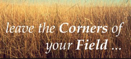 Spiritual Blog - Corners of Your Fields