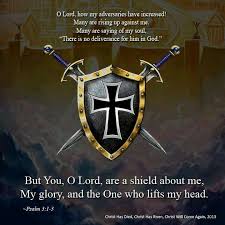 Spiritual Blog - Shield Around Us