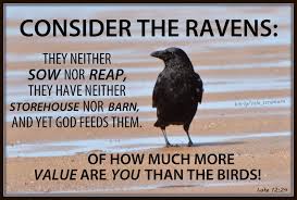 Spiritual Blog - Ravens
