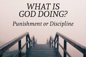 Spiritual Blog - Discipline