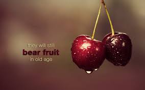 Spiritual Blog - Fruit