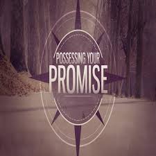 Spiritual Blog - Promise