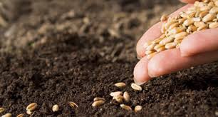 Spiritual Blog - Farmer