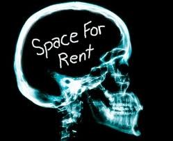 Spiritual Blog - Stupid