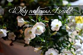 Spiritual Blog - Why Not