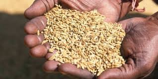 Spiritual Blog - Handfuls