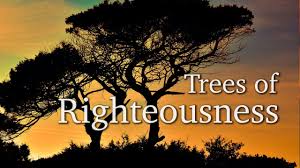 Spiritual Blog - Trees